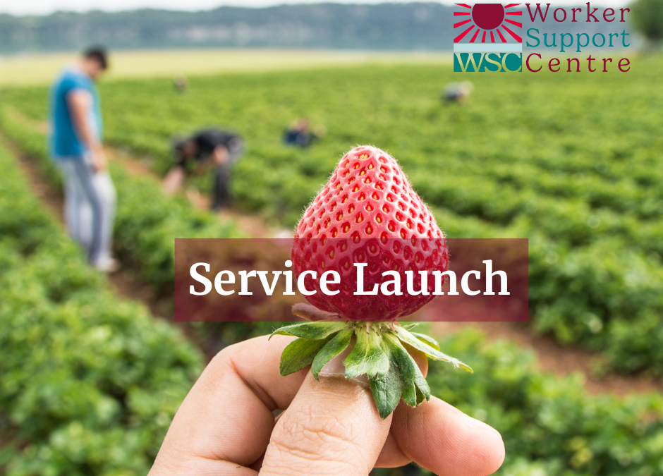 WSC Service launch