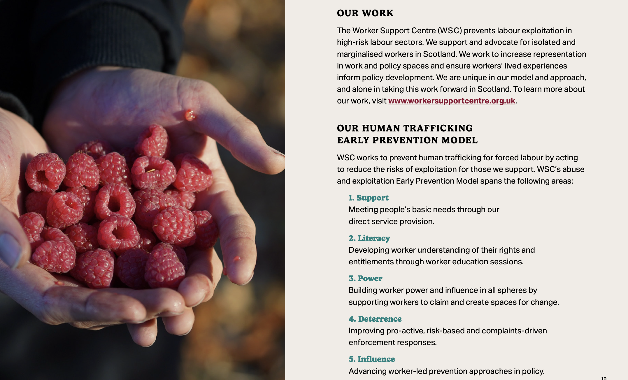 Image from WSC Annual Report